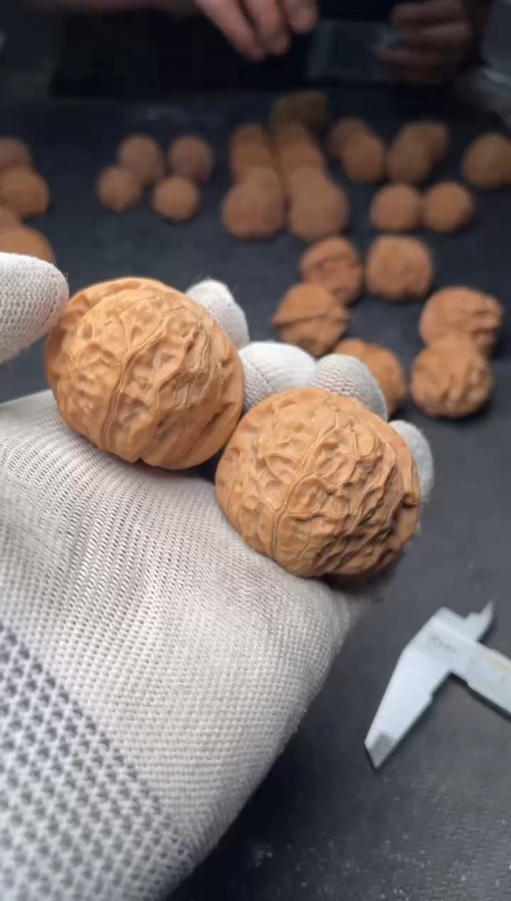 核桃a256   南瓜墩    40尺