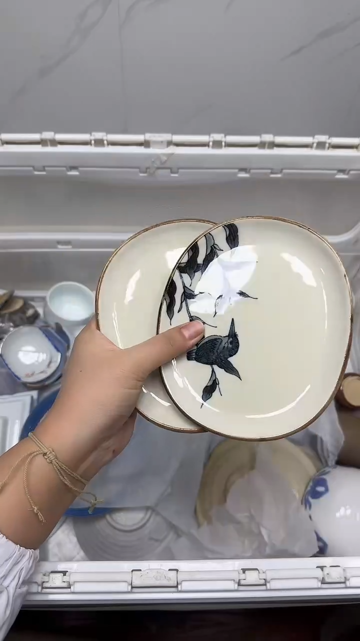 【闪购商品】461回流瓷器默认微瑕，18.8包邮