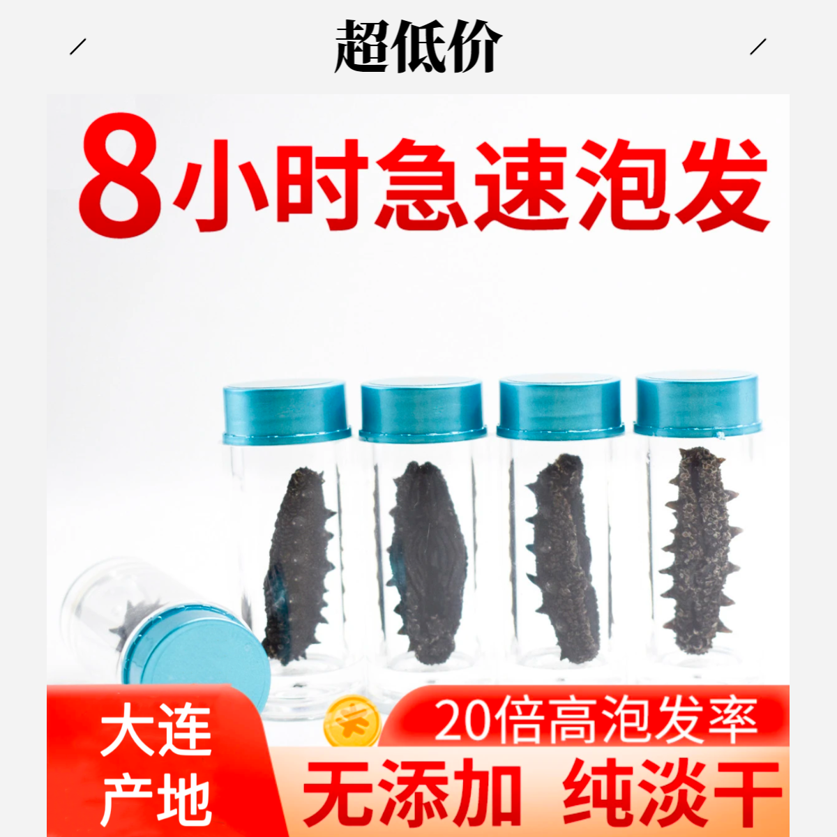 大连国标海参速发8小时可吃养身海参开口净制无添加高泡发旅游