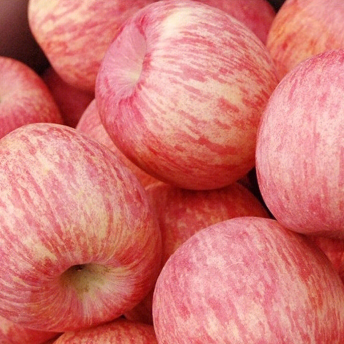 【山东正宗】山东烟台红富士 尝鲜小果3斤装