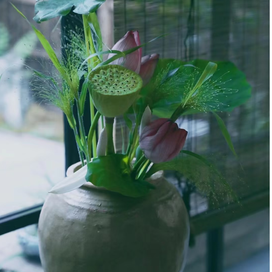 荷花鲜花莲蓬顺丰包邮