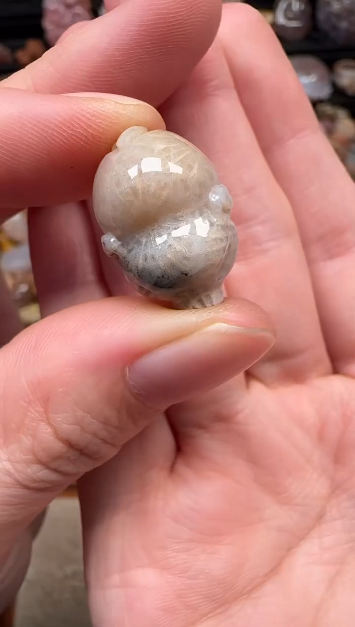 颈饰未镶嵌硅化珊瑚（珊瑚玉）093