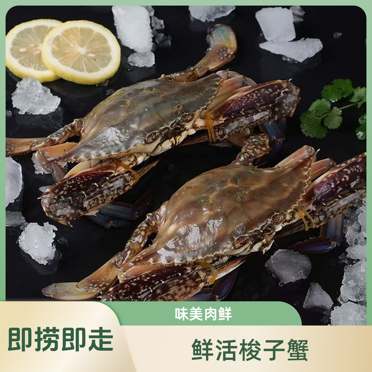 【保鲜不保活】山东梭子蟹按只，一只大概200g-250g(4-5两)海鲜梭子蟹同城