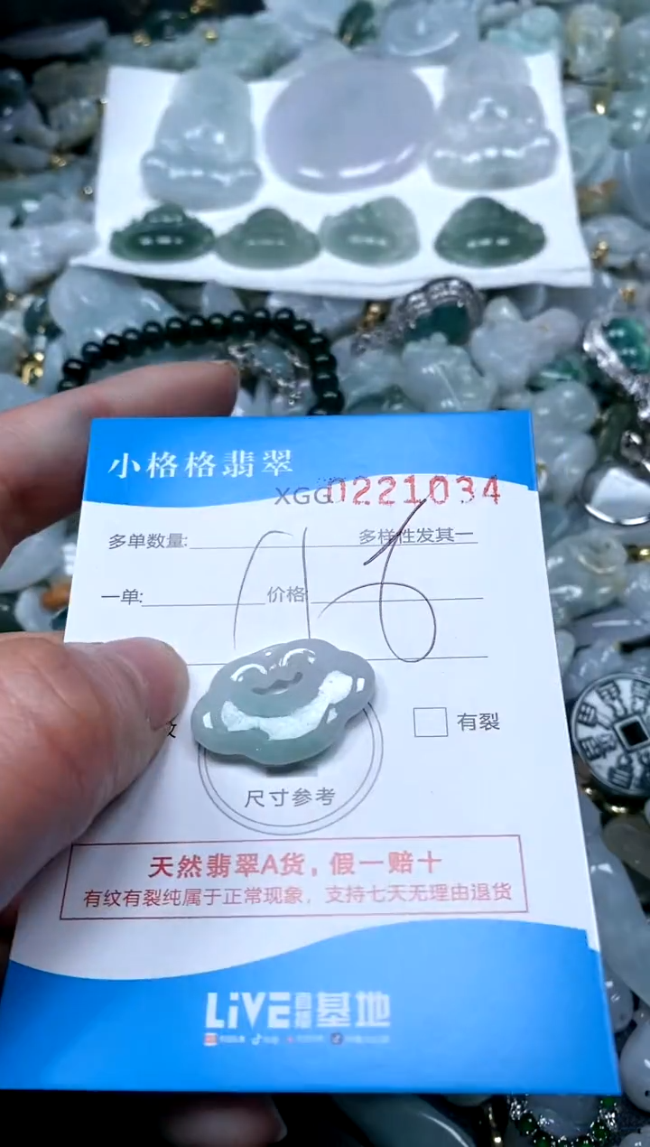 【闪购商品】翡翠颈饰未镶嵌闪购商品0221034