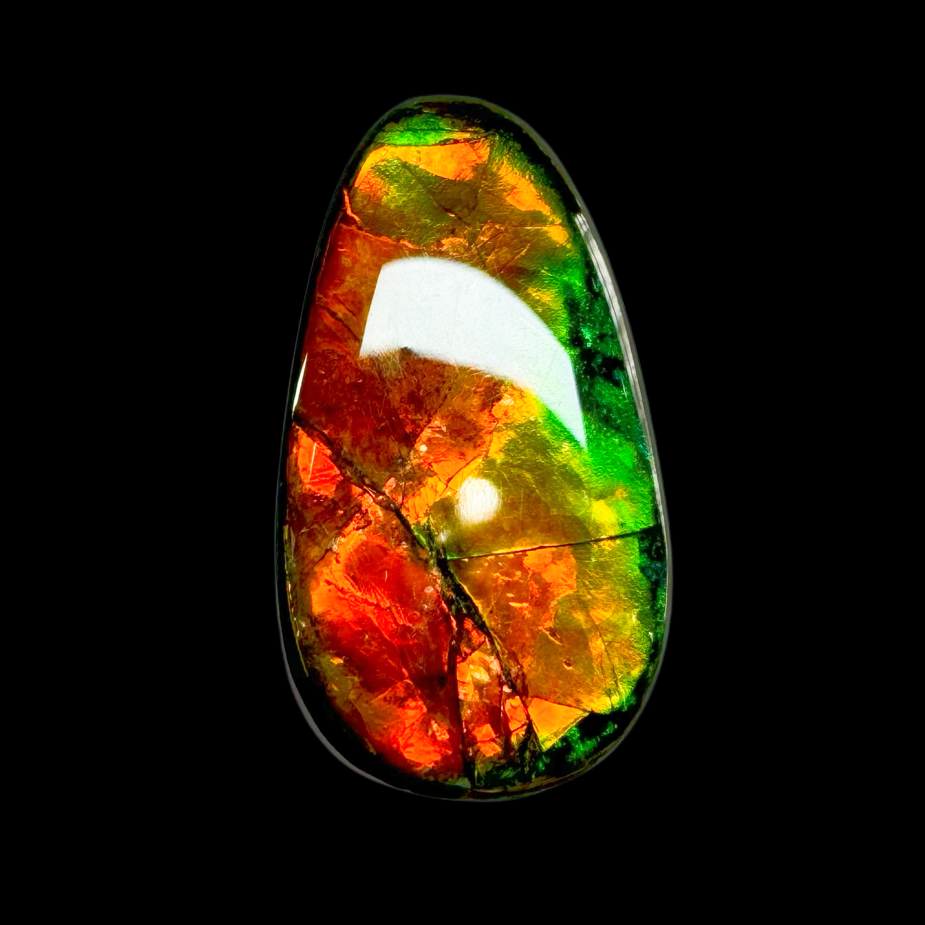【古贝壳（原石）】33.3mm BC 产地：加拿大 R5