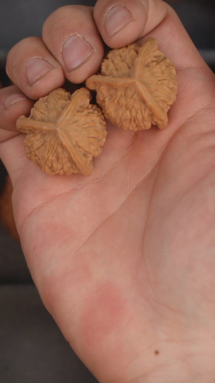 把件文玩核桃34左右定向糖三角