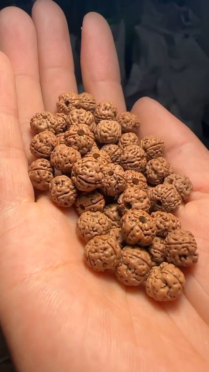 金刚菩提手串非全品四掰老树王散籽8-9mm一份一百颗