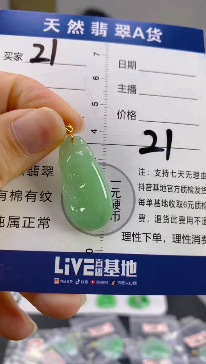 【闪购商品】翡翠颈饰18K金镶嵌天然A货翡翠