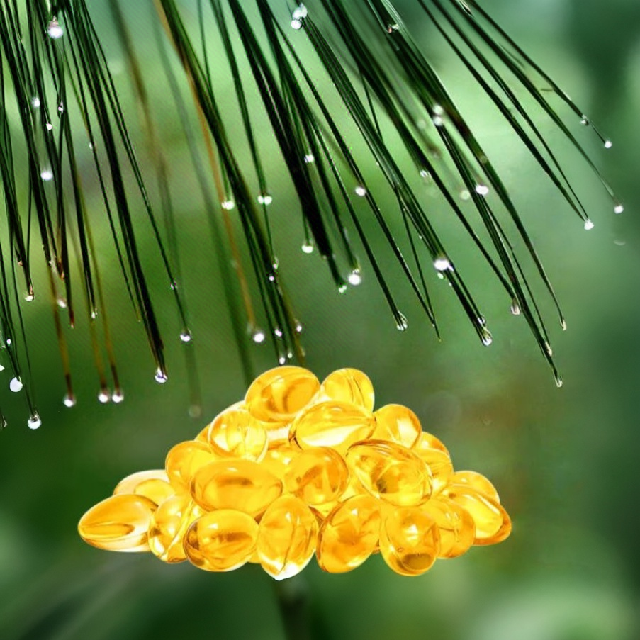 【甘妹甄选】松-针-油 枸杞高含量  60粒1瓶 -----------可搭配枸杞