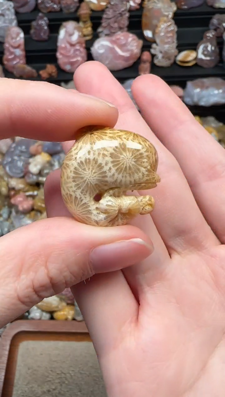颈饰未镶嵌硅化珊瑚（珊瑚玉）024