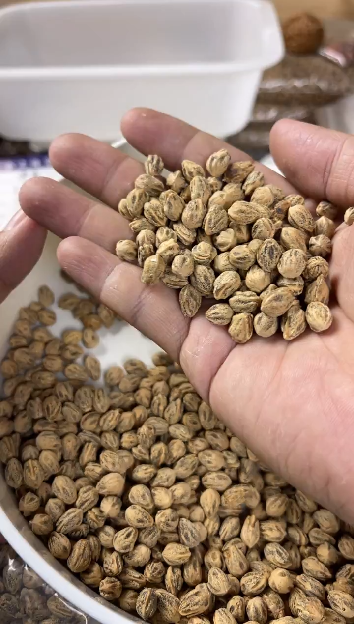 吊坠柏香籽/百香籽合上柏香散籽4