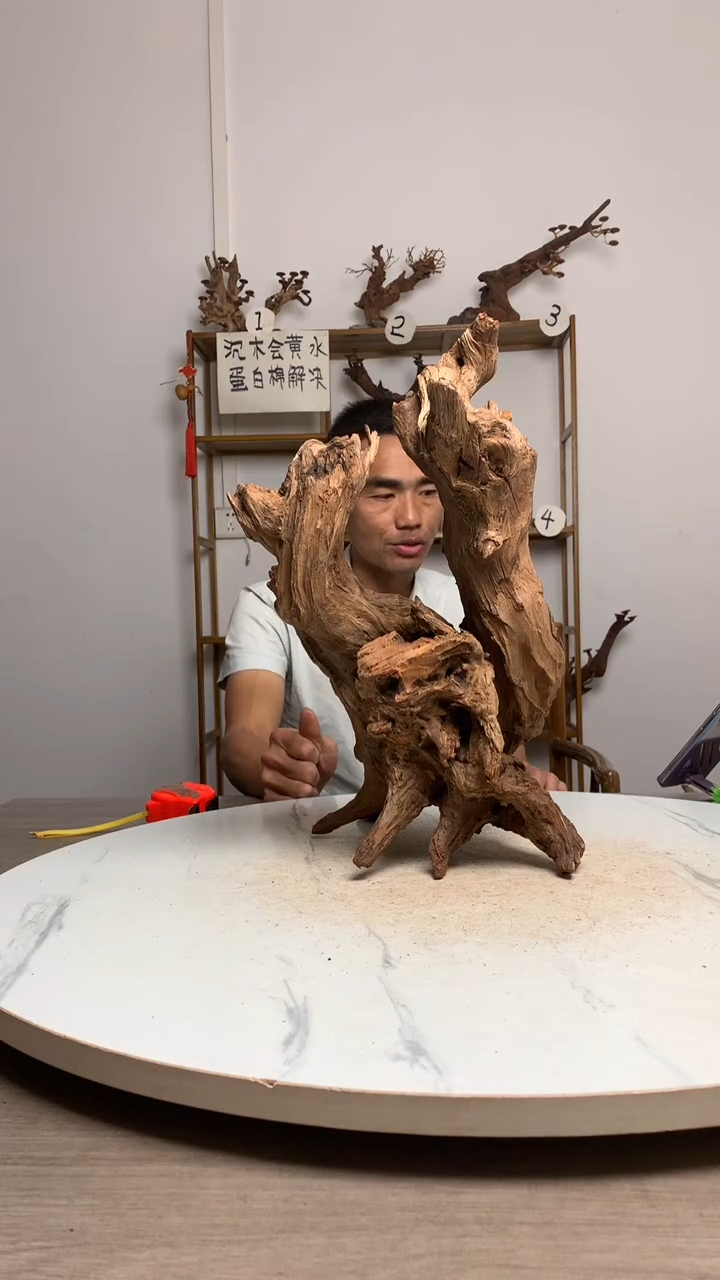 凯**来鱼缸造景沉木摆件