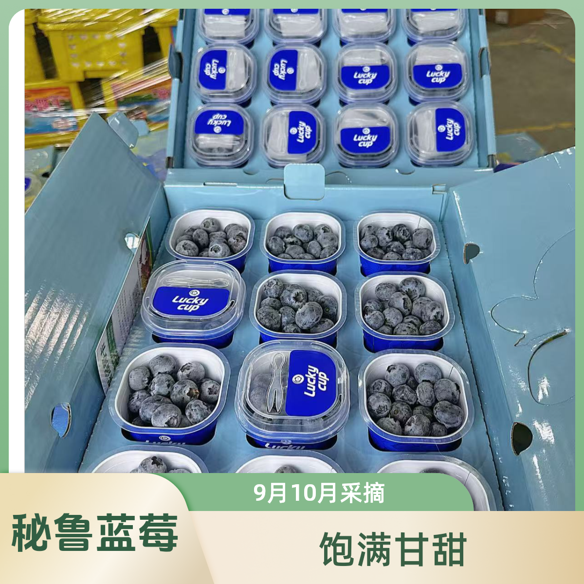 【当季限定】秘鲁进口雪山山脉蓝莓 空运现货新鲜采摘 当季水果  京东顺包邮丰 6-24盒装