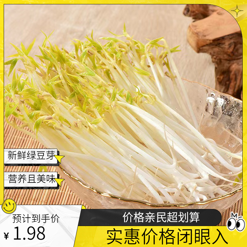 新鲜营养绿豆芽250g