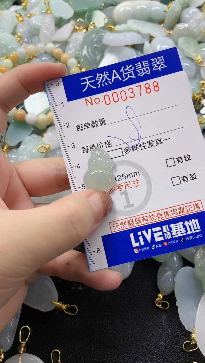 颈饰未镶嵌翡翠破**件天然A货翡翠