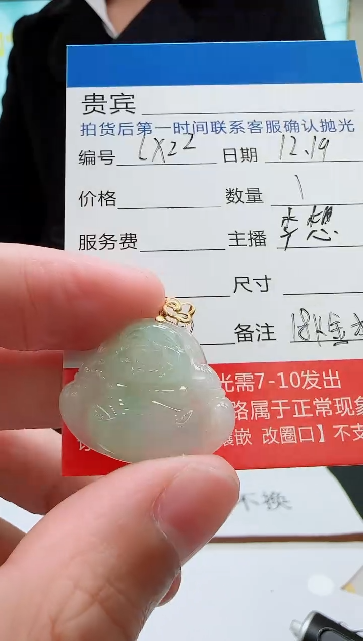 18K金镶嵌定制翡翠LX22翡翠吊坠-多样性发其一