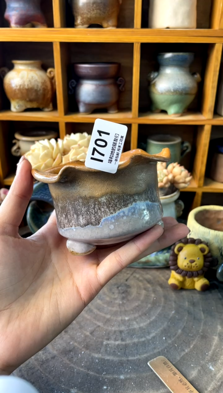 701内口8【多肉花盆多肉盆】