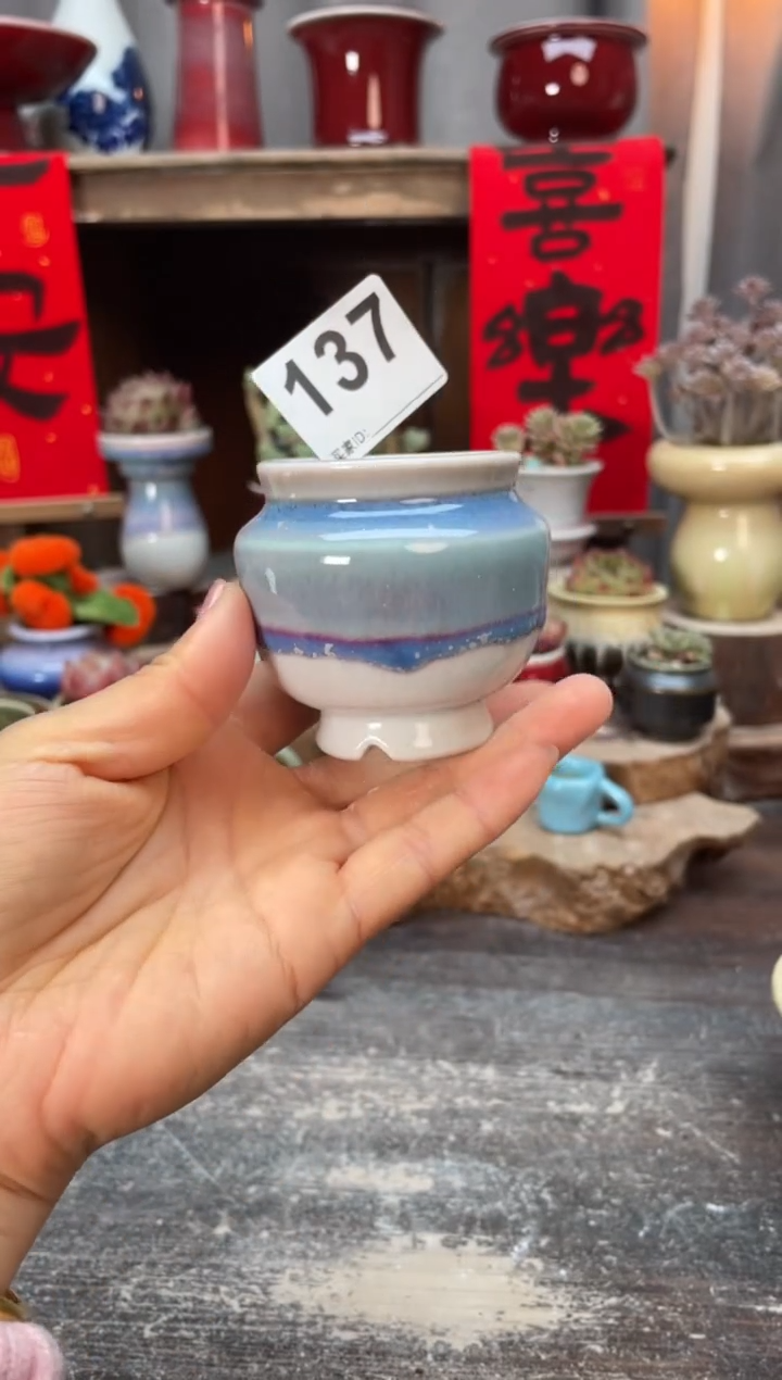 【闪购商品】摆件137知木小芳花盆