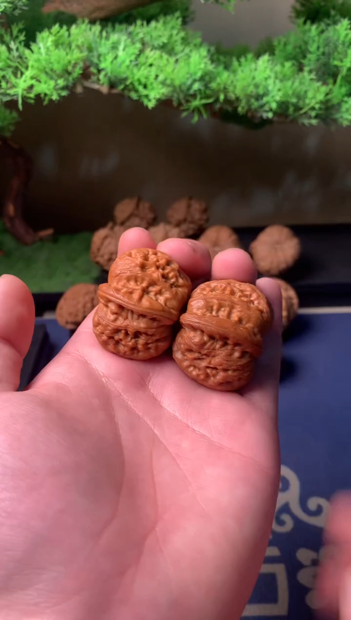 【闪购商品】文玩核桃把件39元宝