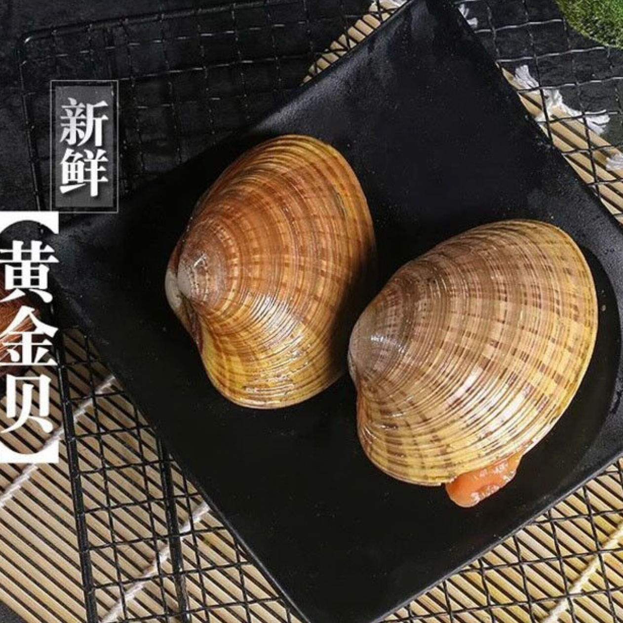 【金葉甄选】黄金贝52/斤