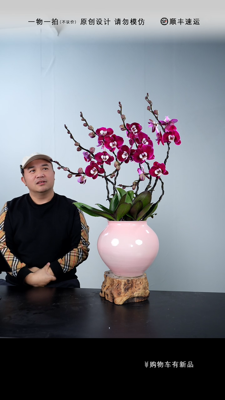 【闪购商品】085号链接【一物一拍】艺术盆景