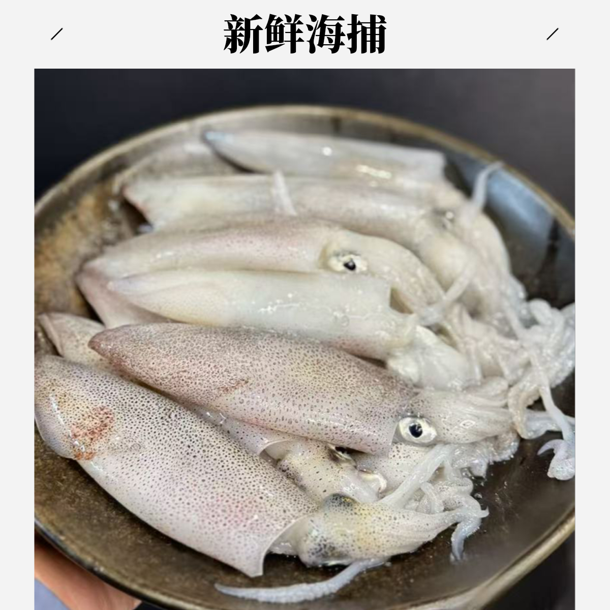 新鲜海捕公母笔管鱼海兔速冻顺丰冷链火锅食材，百分之20含籽率DD