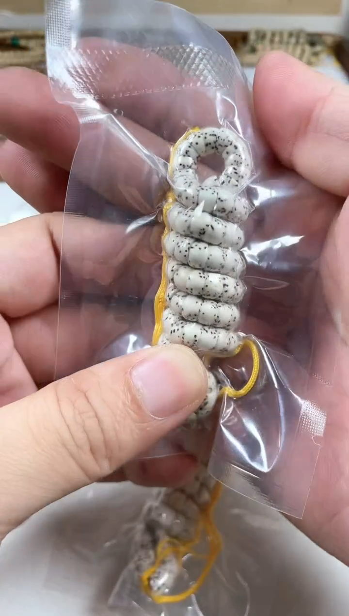 手串星月菩提原生态原白直切大肠6mm(无脱脂）