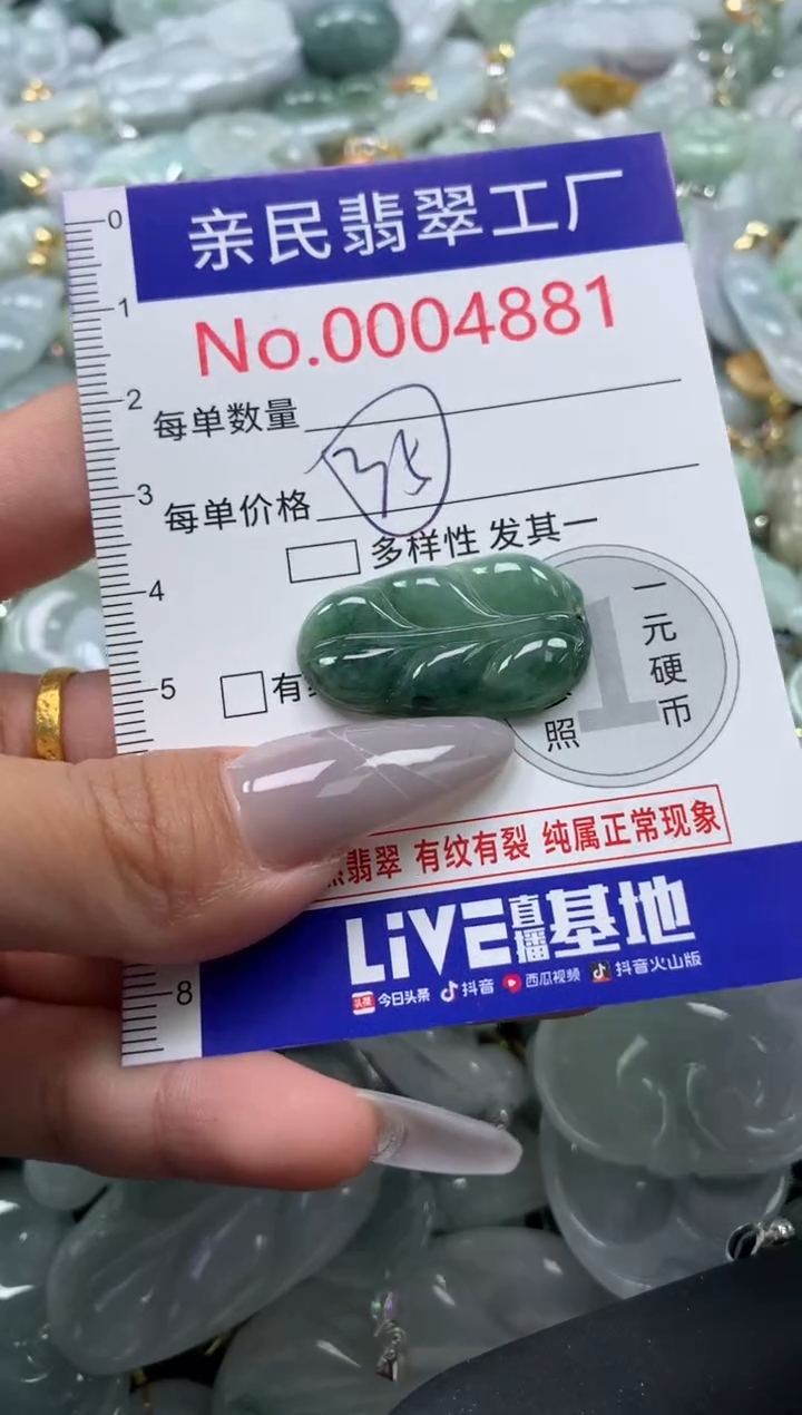 颈饰未镶嵌翡翠4881