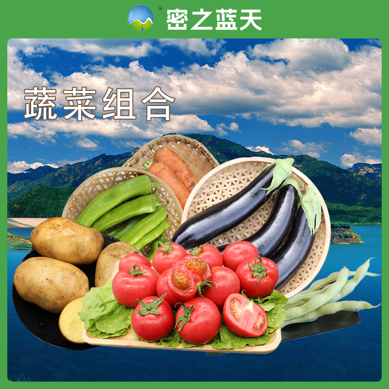 蔬菜组合套餐一约2500g（沙瓤西红柿 茄子 胡萝卜 尖椒 白不老 土豆）绿色蔬菜