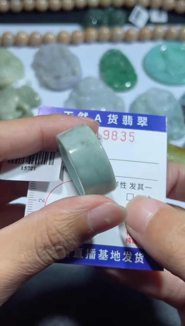 【闪购商品】翡翠颈饰未镶嵌00019835