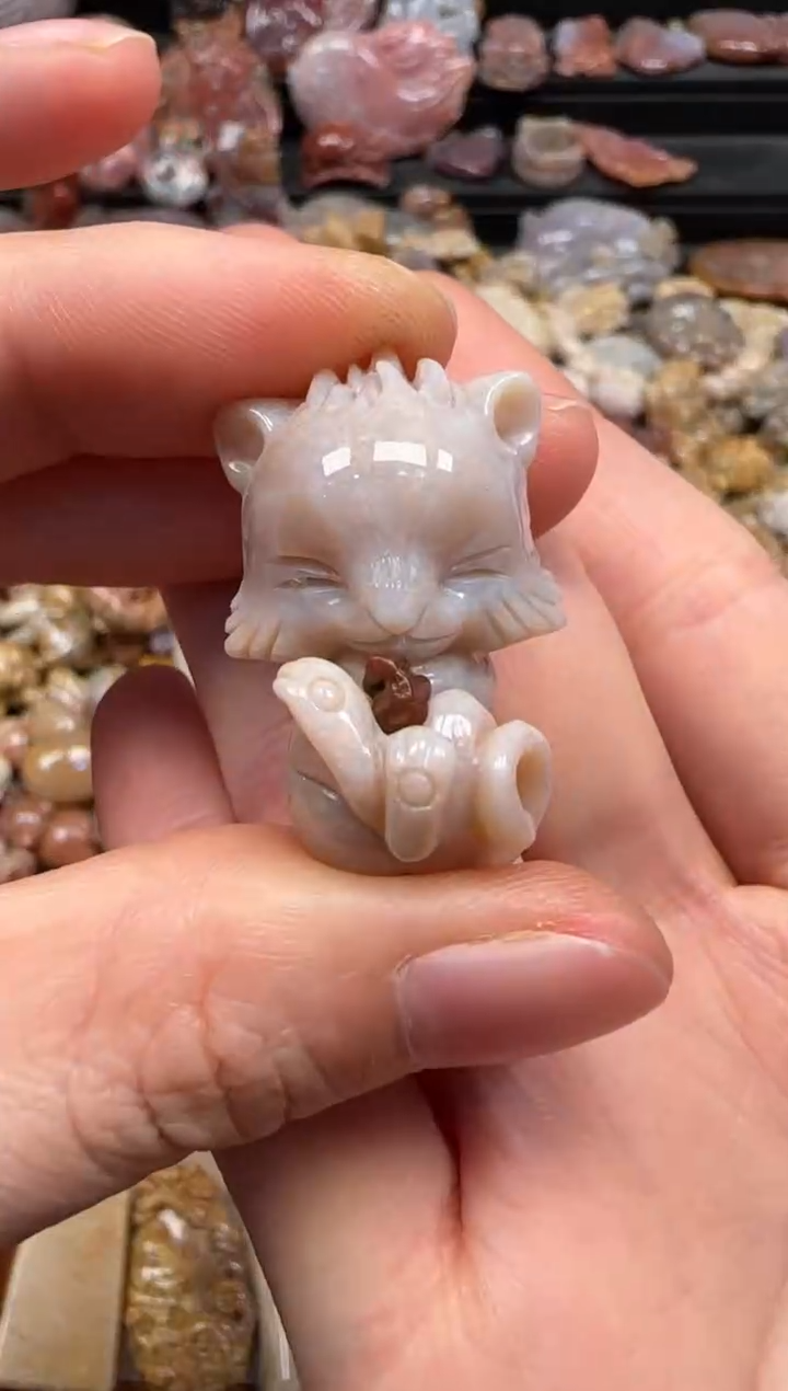 【闪购商品】硅化珊瑚（珊瑚玉）颈饰未镶嵌441