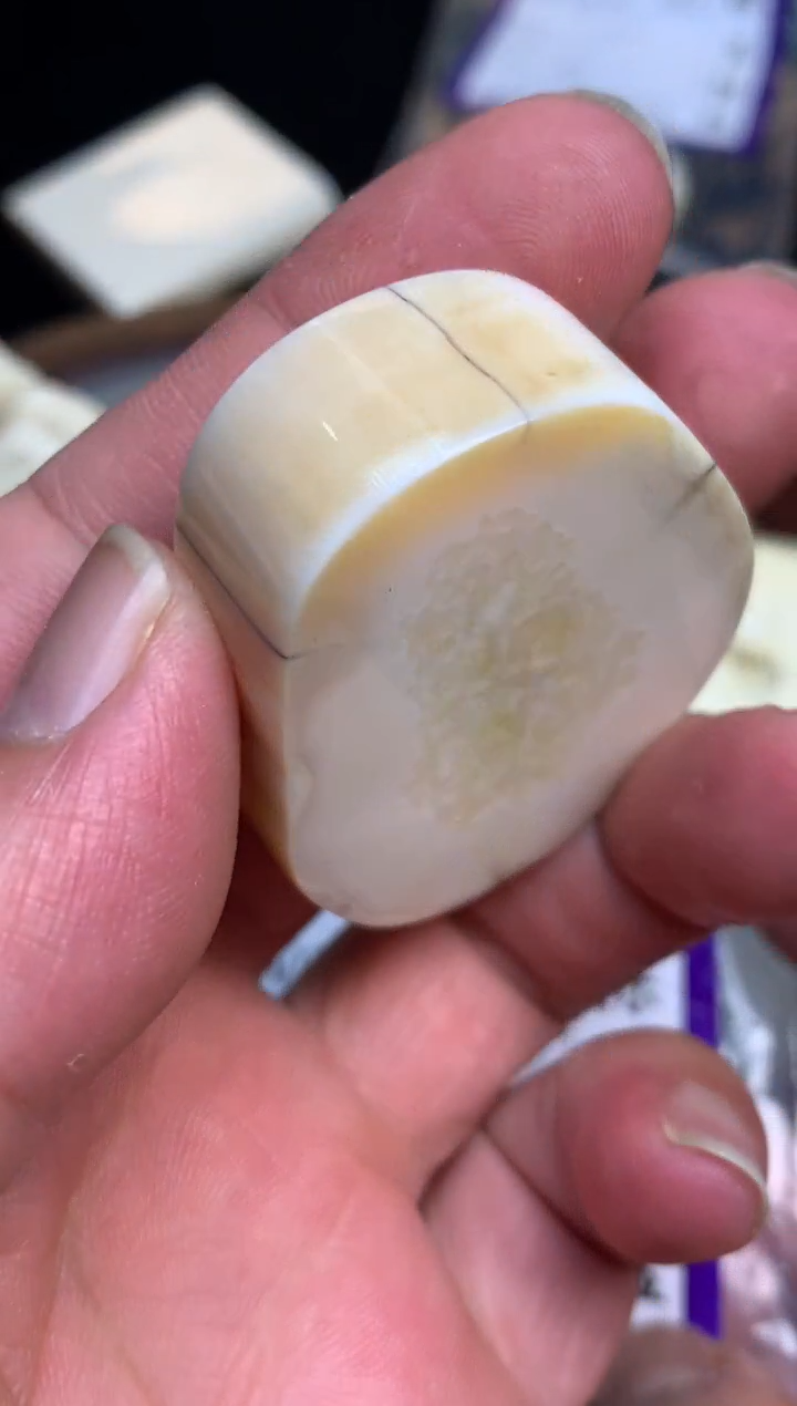【闪购商品】橄榄核手串/手链猛犸猛犸猛犸猛犸D40