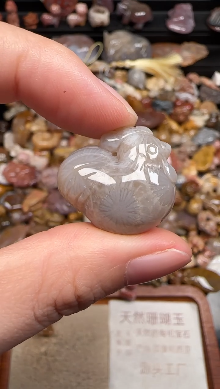 硅化珊瑚（珊瑚玉）未镶嵌颈饰682