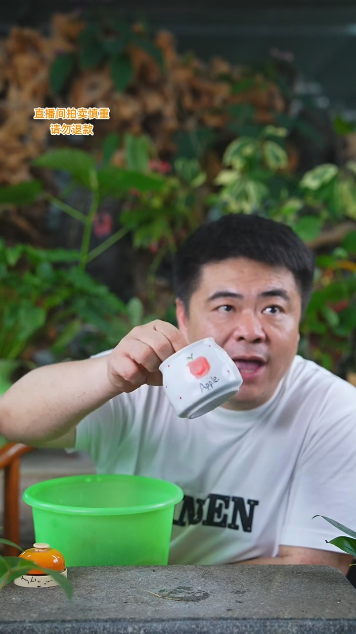 当前无花栽培后可以开花带孔瓷器花瓶+