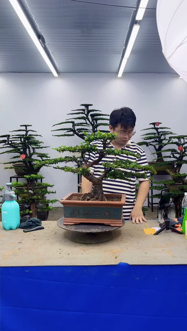 无花朵一物一拍，所见即所得