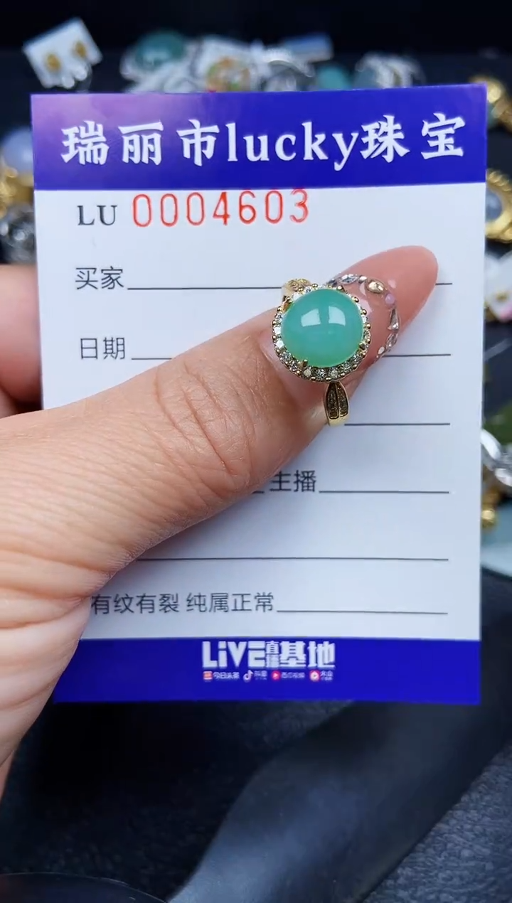 翡翠银S925镶嵌颈饰4603