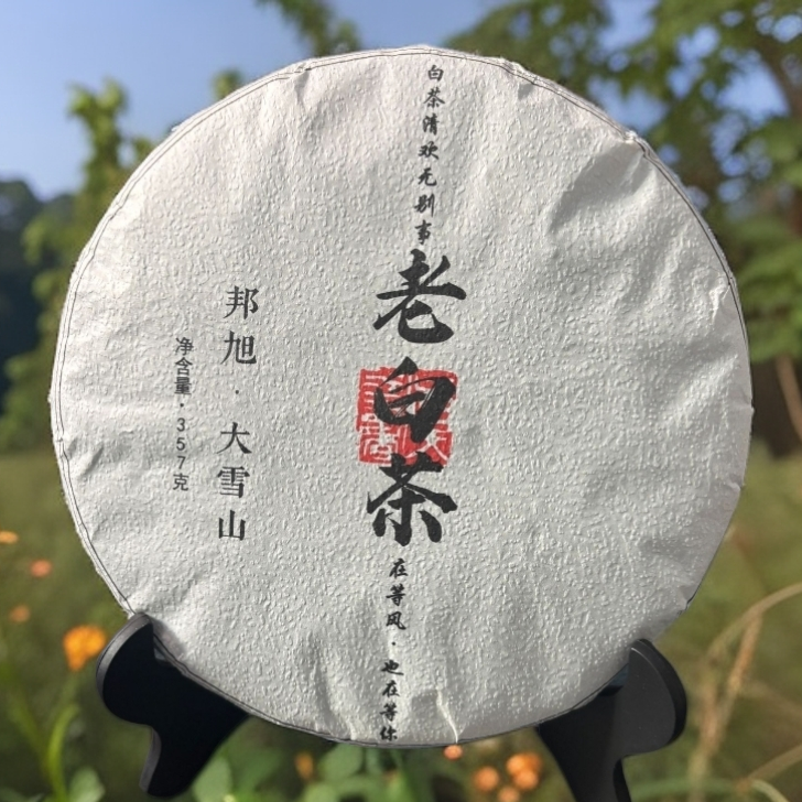 【源味臻选】2019年大雪山老白茶（饼茶）