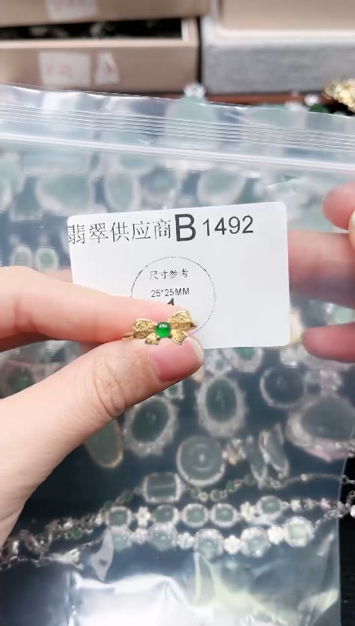 【闪购商品】翡翠颈饰未镶嵌1492赠皮绳