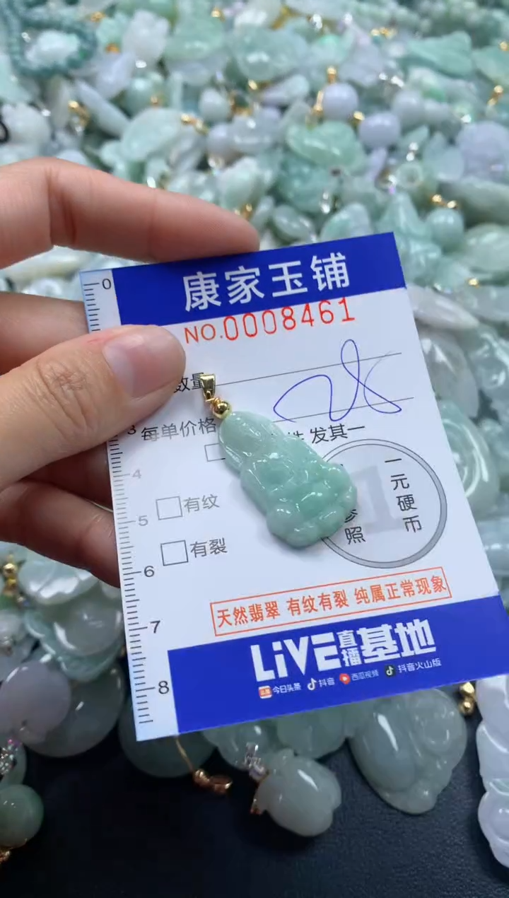 颈饰未镶嵌翡翠8461