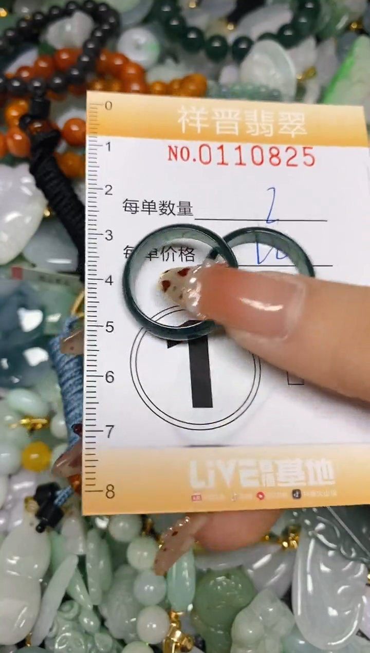 【闪购商品】翡翠颈饰未镶嵌闪购0110825多样性发其一