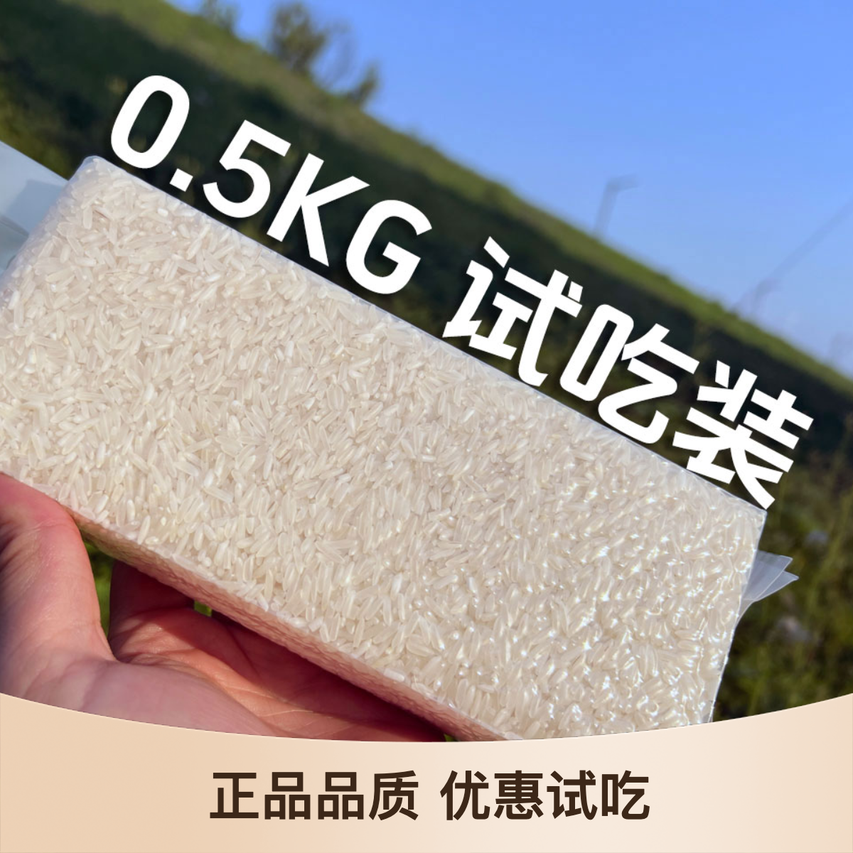 尔康清香洞庭湖原生态种植优质清香米 2024新米 真空试吃装0.5KG