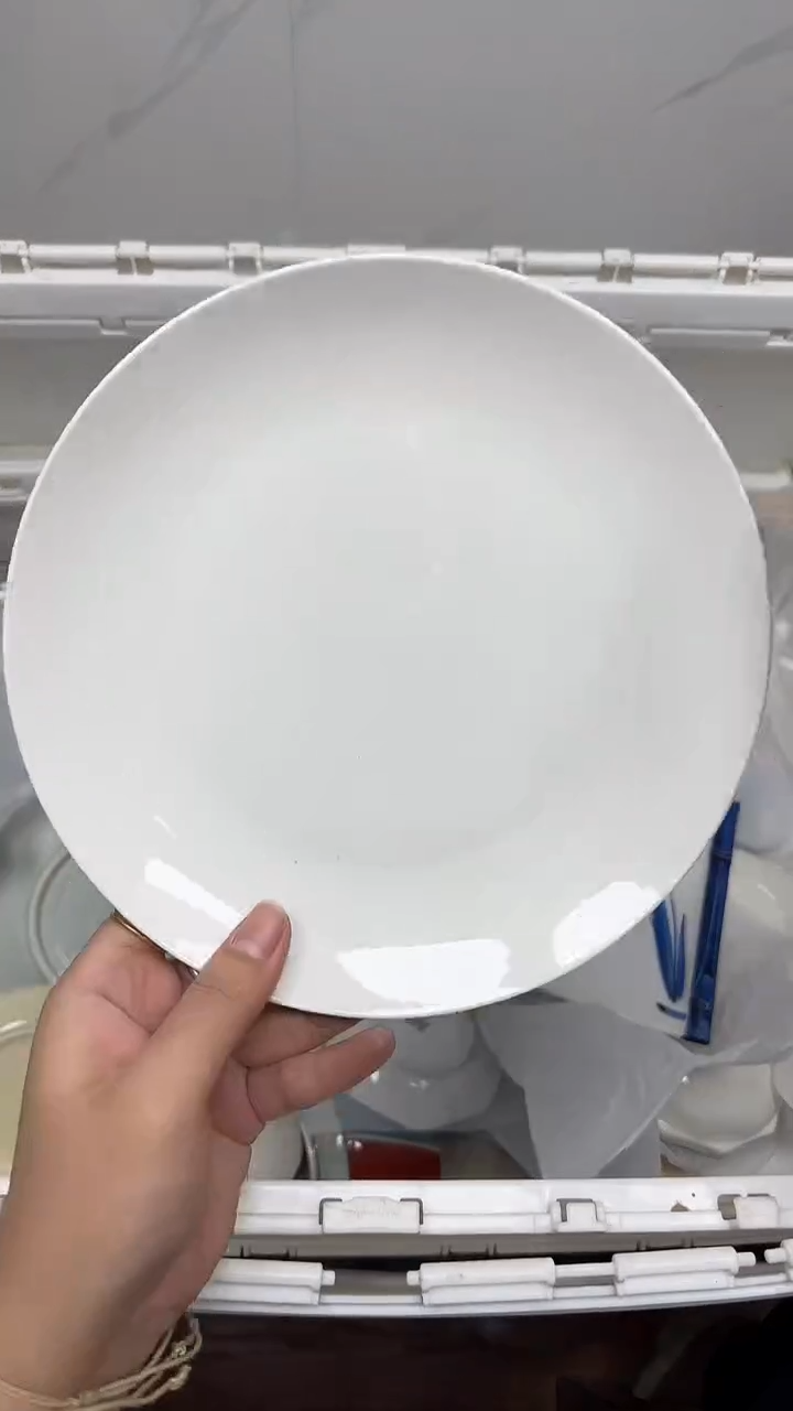 【闪购商品】830回流瓷器，默认微瑕18.8包邮