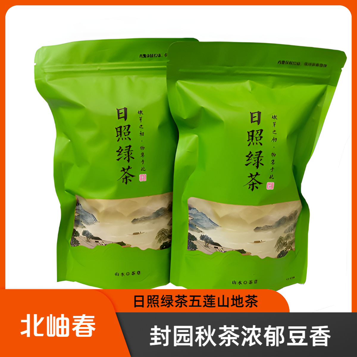 北岫春五莲山地茶豌豆香煞口10月份寒露老秋茶正宗日照绿茶