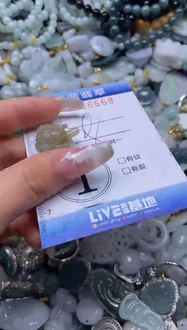 【闪购商品】翡翠颈饰未镶嵌闪购0166668