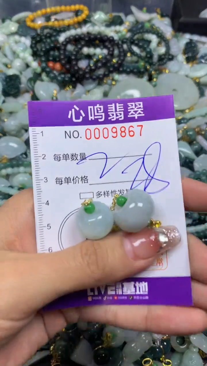 【闪购商品】翡翠颈饰未镶嵌闪购009867