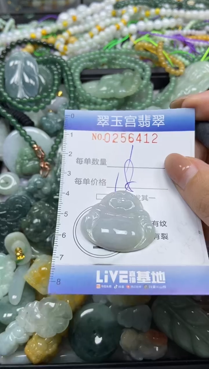 颈饰未镶嵌翡翠闪购C0256412