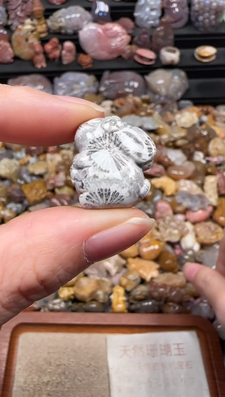 颈饰未镶嵌硅化珊瑚（珊瑚玉）246