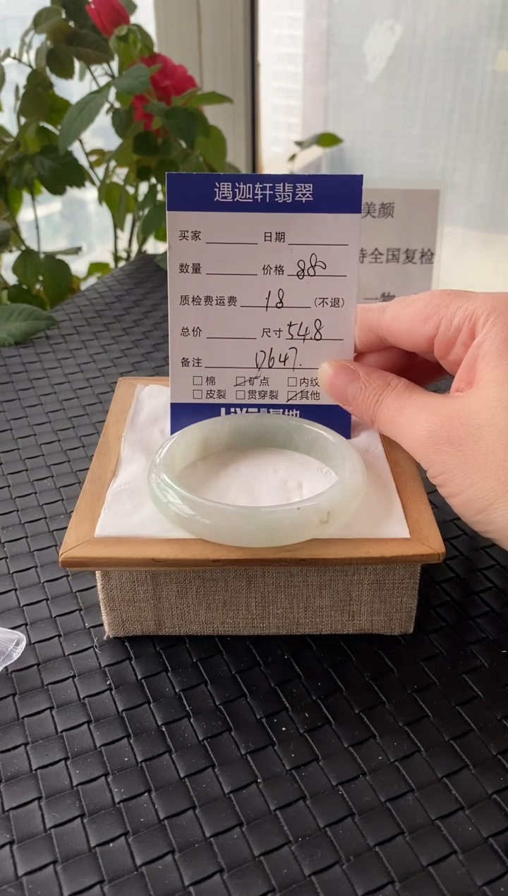 未镶嵌手镯翡翠54.8圈口 D647编码