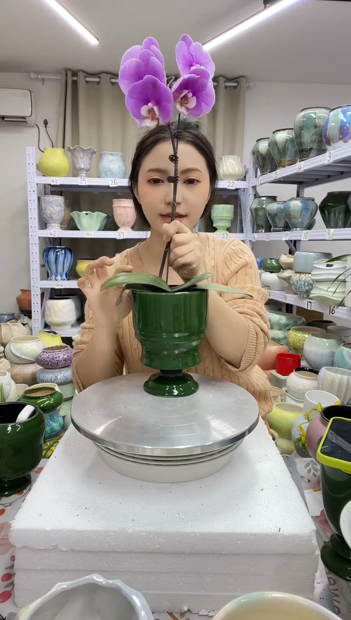 12.30陶瓷花盆直播链接高.    17  口12