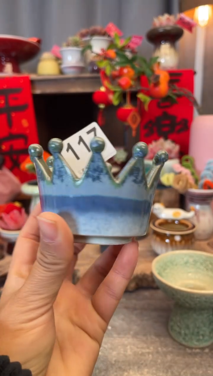 【闪购商品】摆件117知木小芳花盆